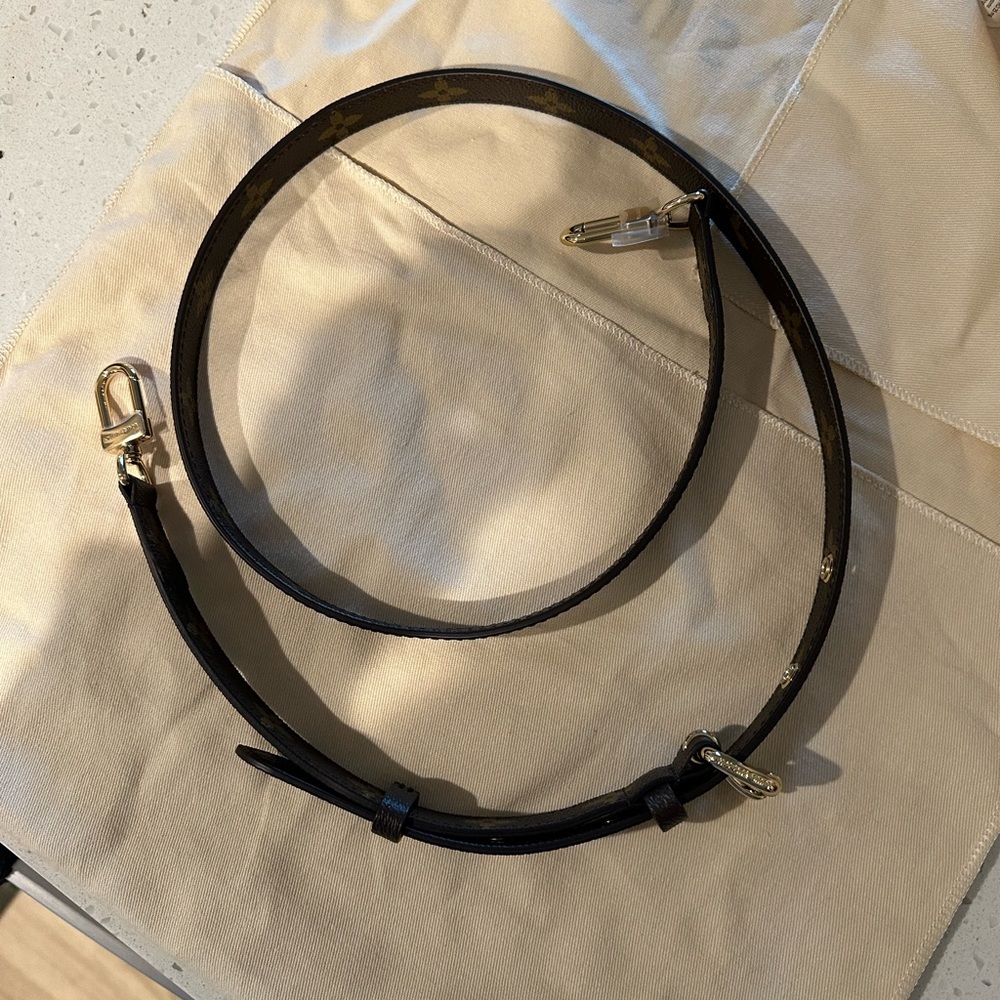 Louis Vuitton Purse Strap